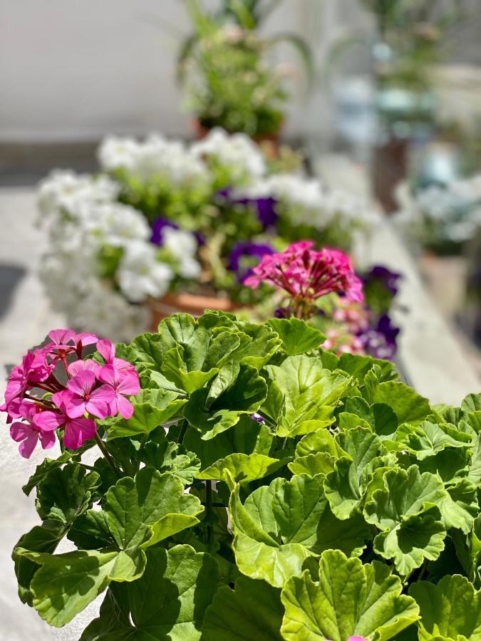 Violet'S Boutique Apartments Sarande Ngoại thất bức ảnh