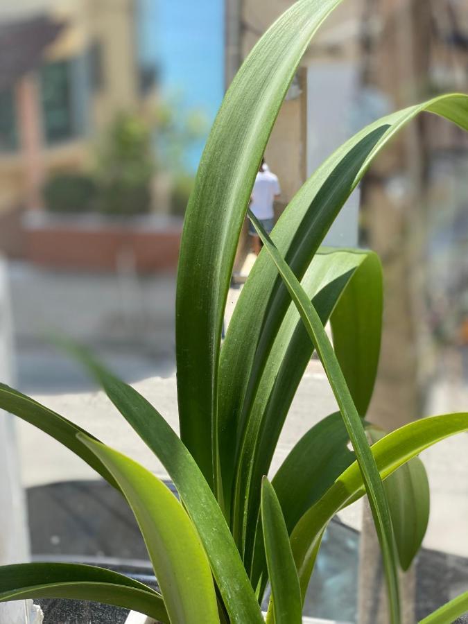 Violet'S Boutique Apartments Sarande Ngoại thất bức ảnh